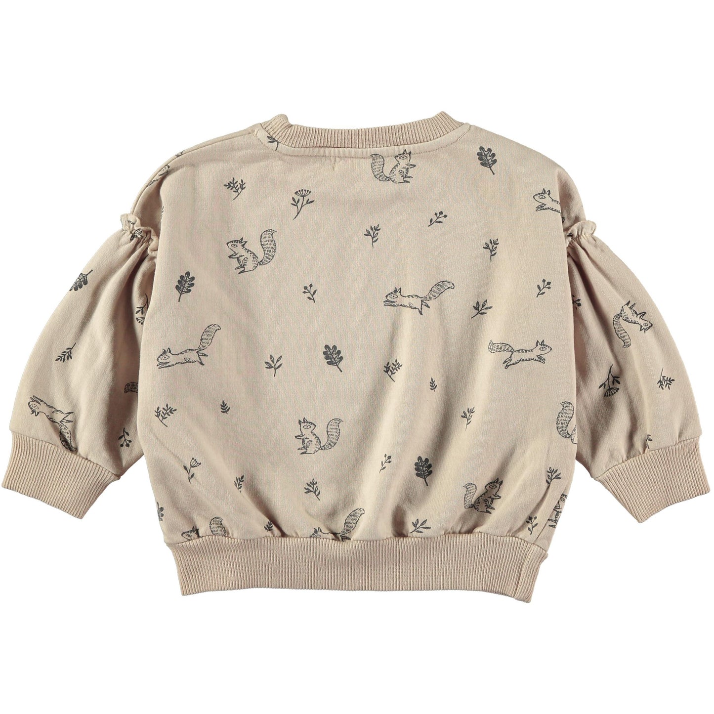 Squirrels Sweater