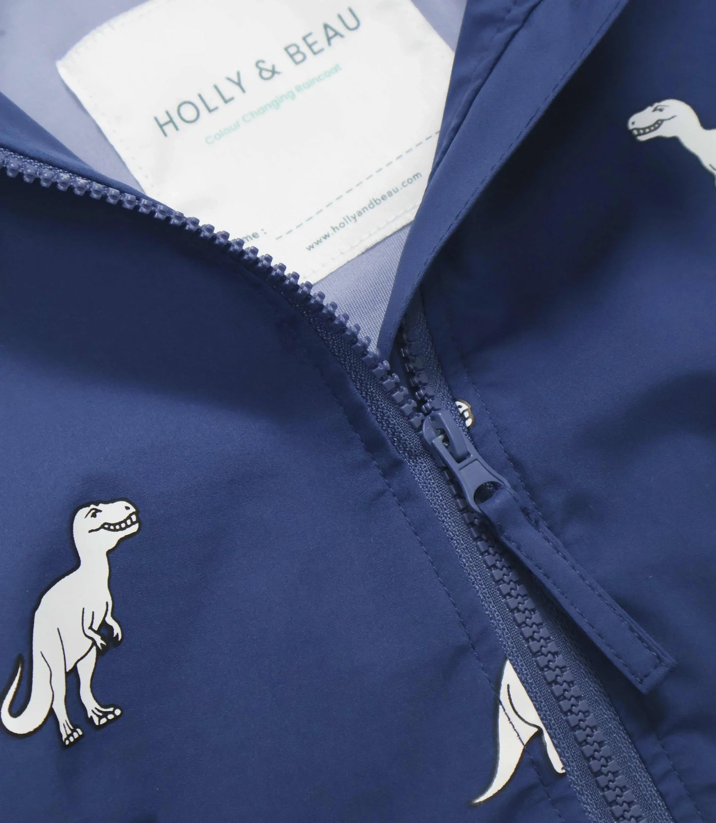 Color Changing Raincoat - Dinosaur