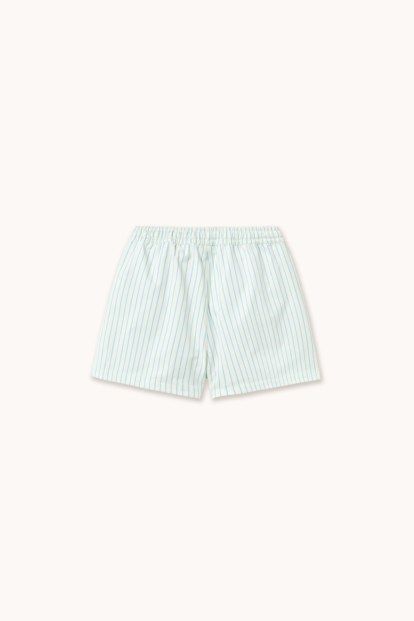 Cyan Stripes Swim Shorts
