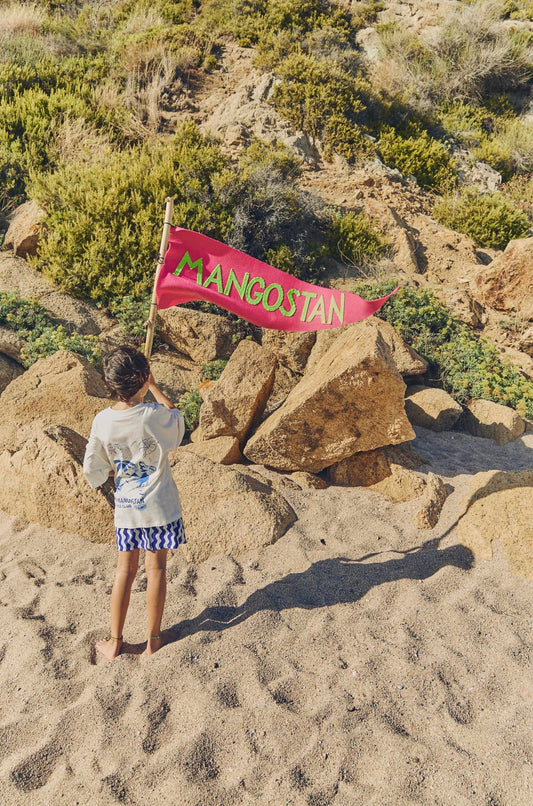Loros Swim Shorts