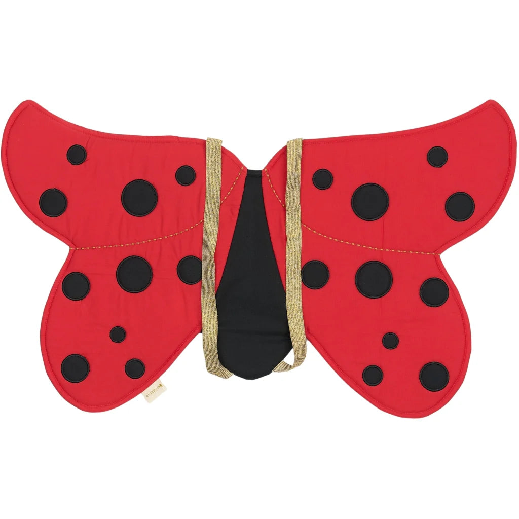 Dress-Up Wings: Ladybug (3-6 years)