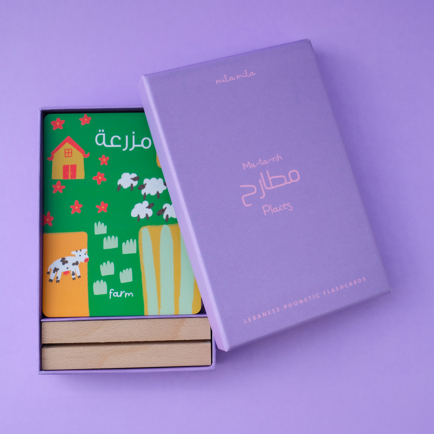 Places Flashcards & Stand