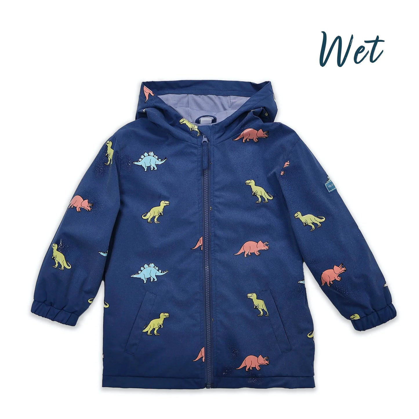 Color Changing Raincoat - Dinosaur