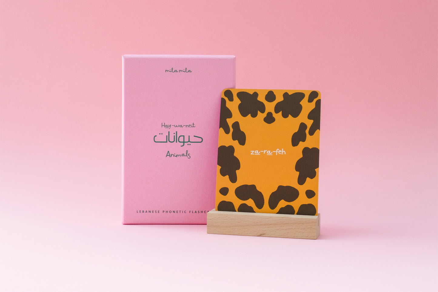 Animals Flashcards & Stand