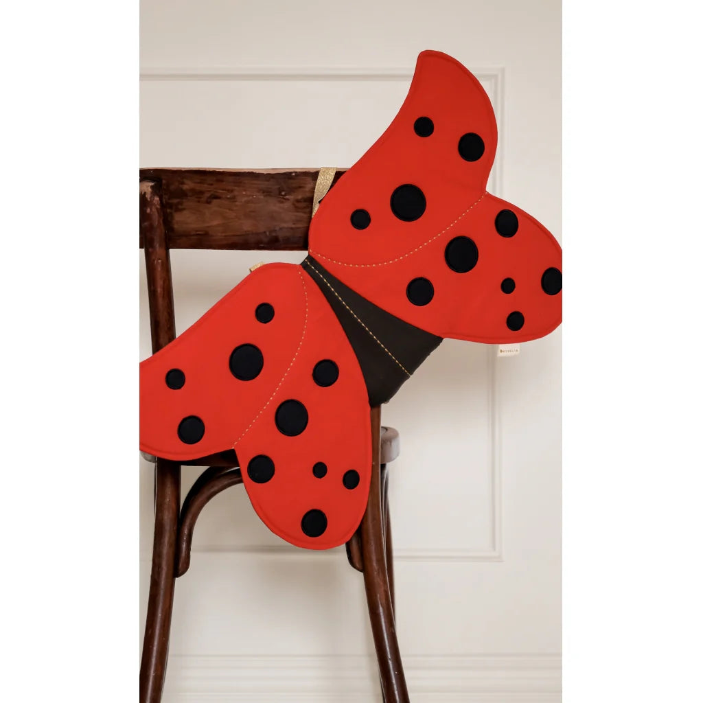 Dress-Up Wings: Ladybug (3-6 years)
