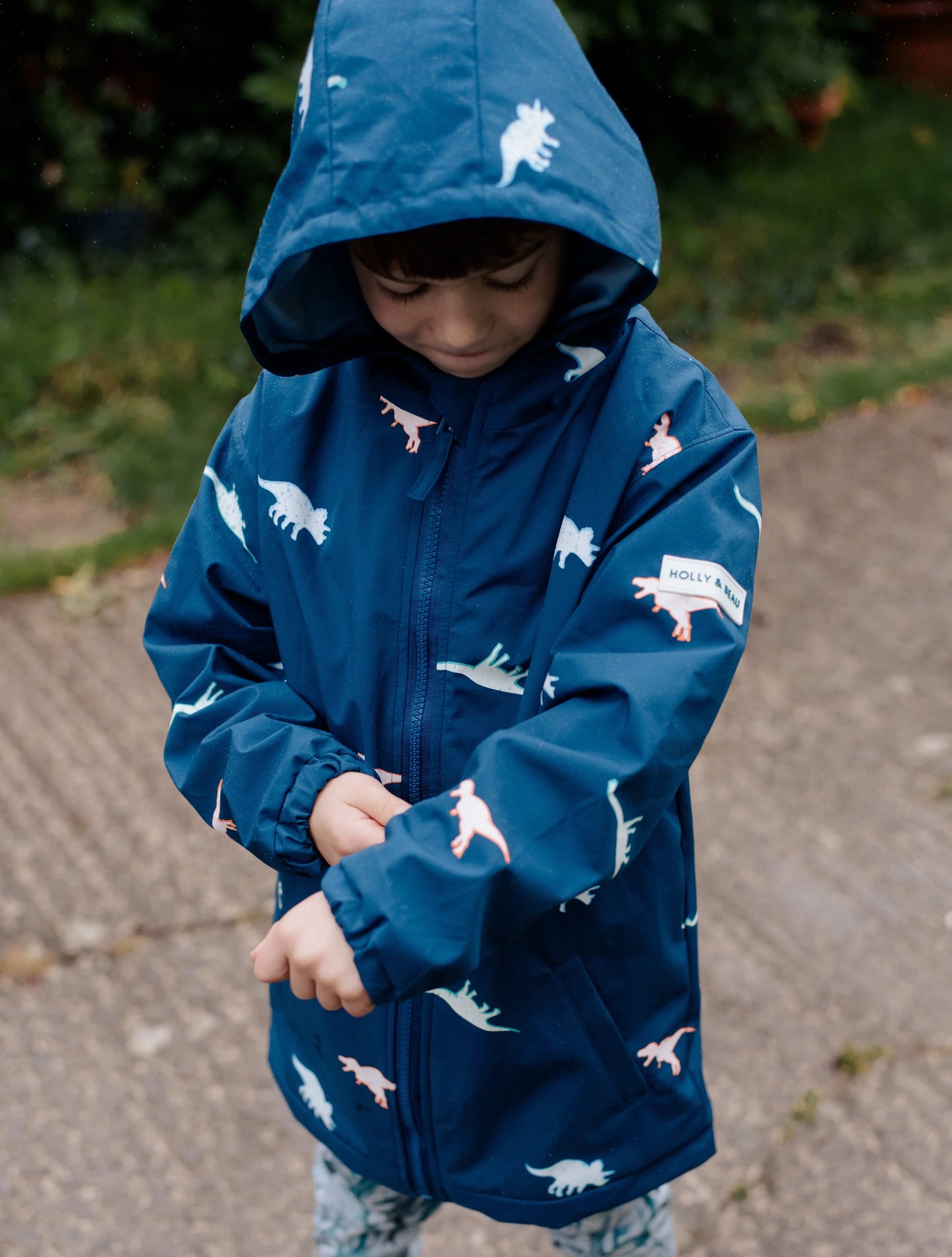 Color Changing Raincoat - Dinosaur