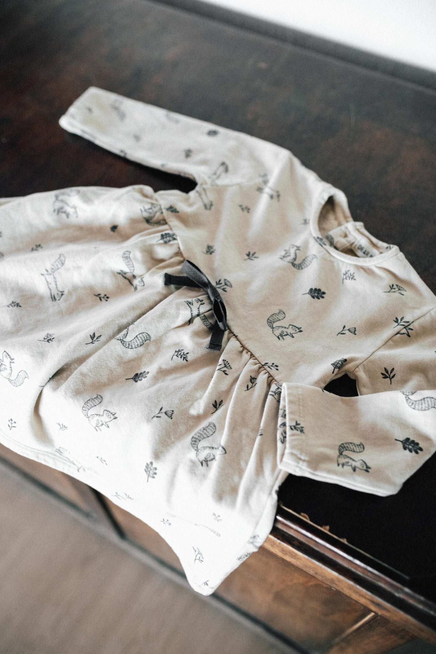 Squirrels Dress