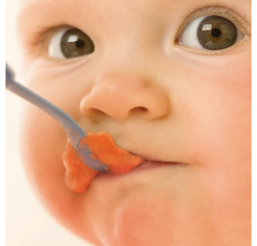 Premium 4-in-1 Baby Food Steamer and Blender (SCF883/02)
