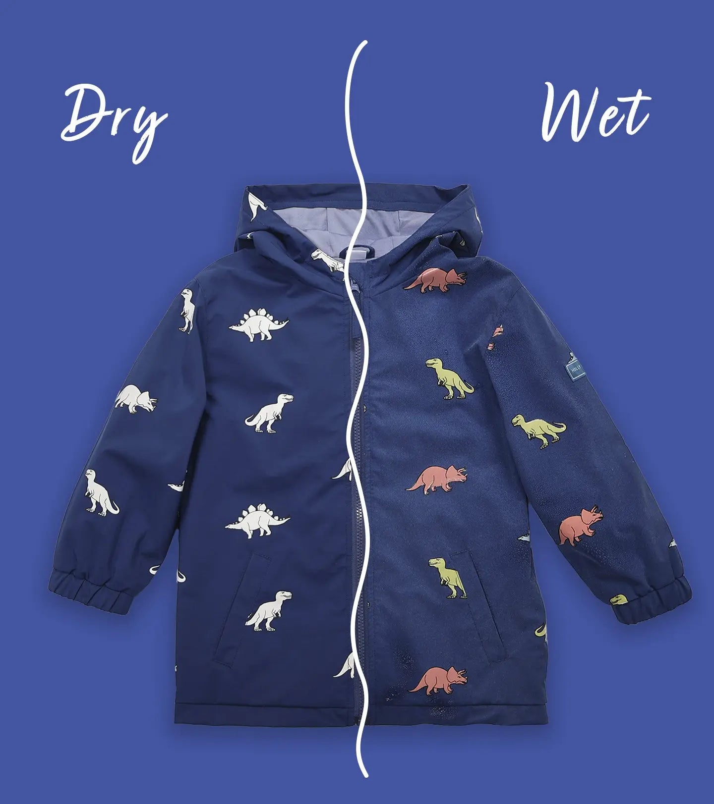 Color Changing Raincoat - Dinosaur