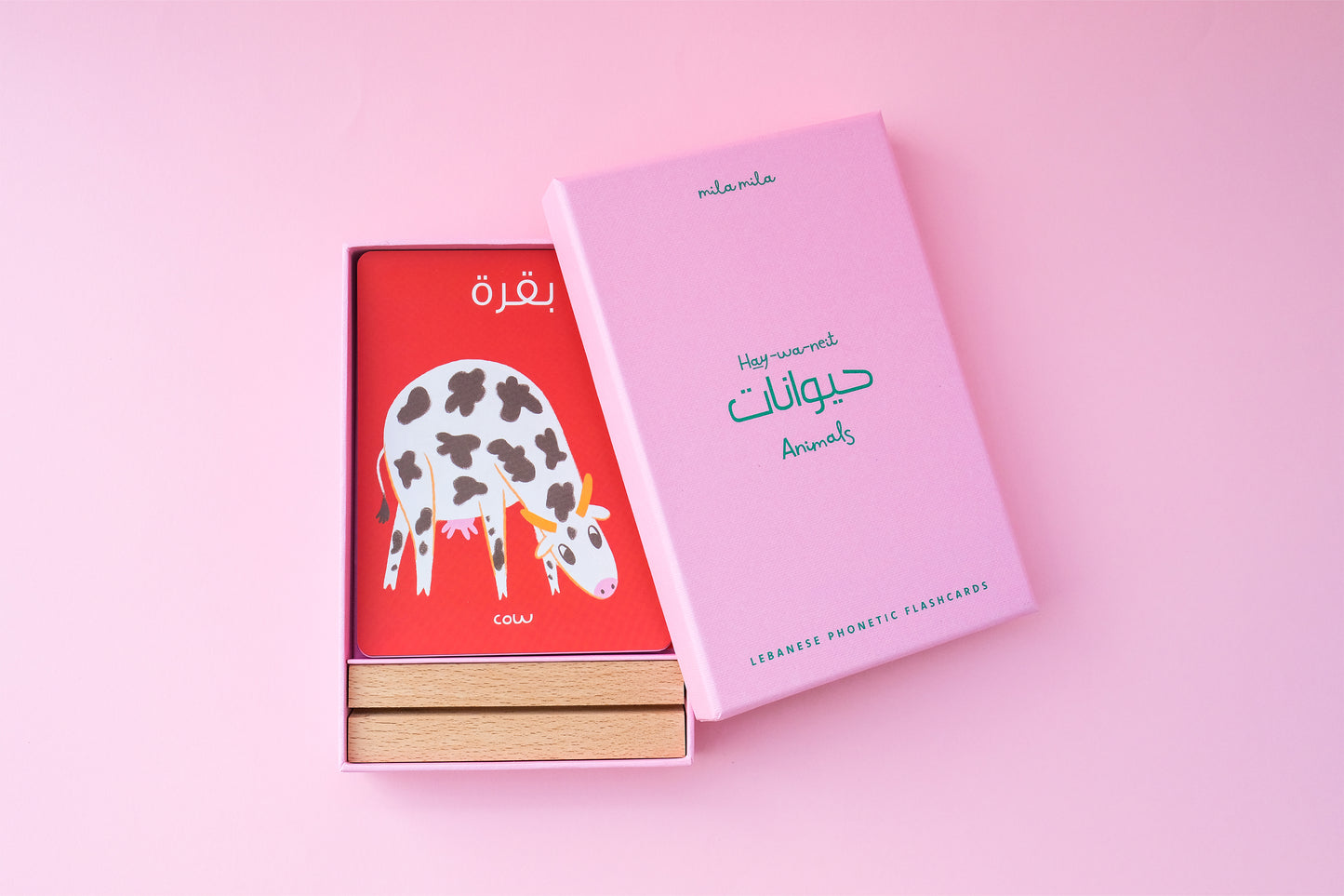 Animals Flashcards & Stand