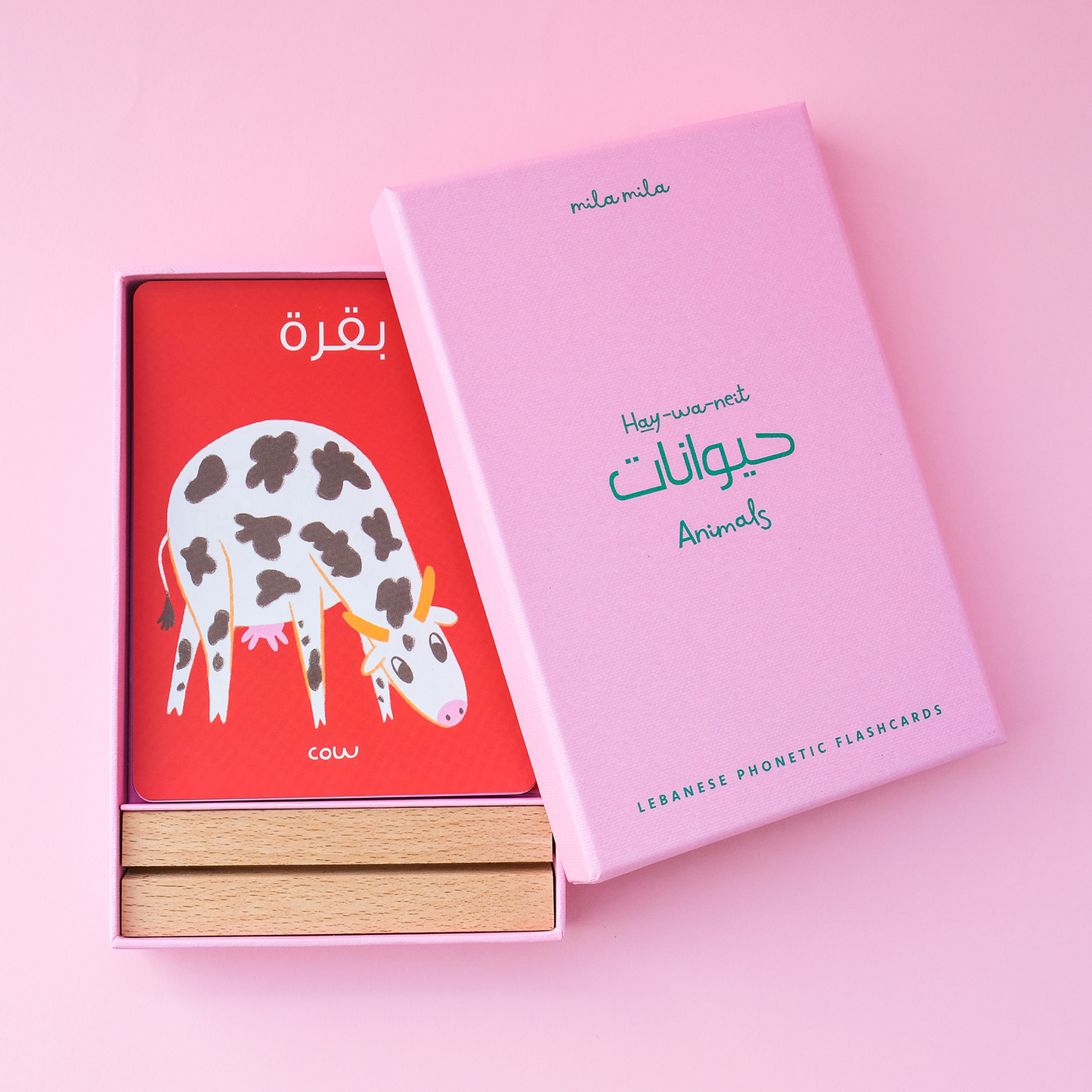 Animals Flashcards & Stand