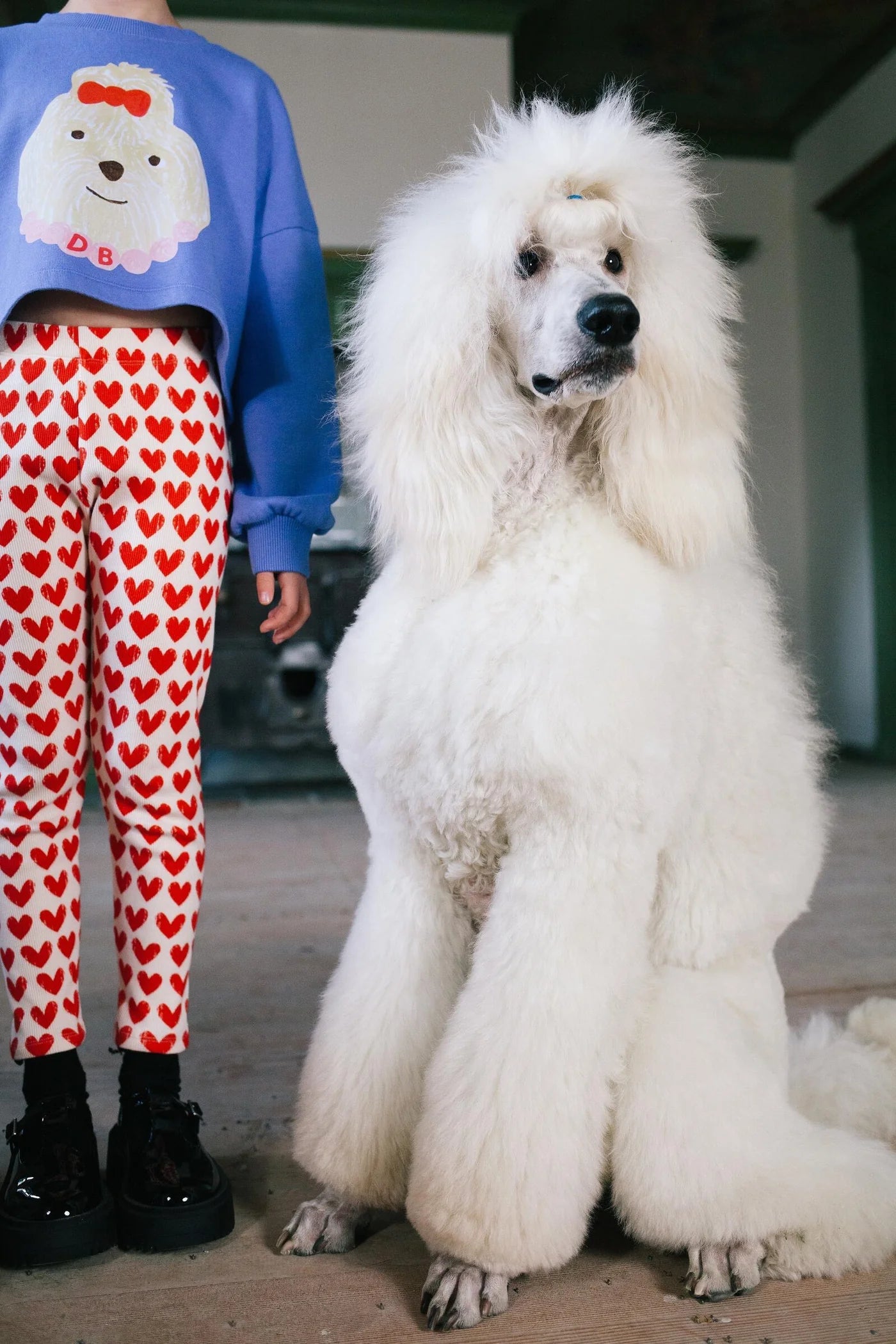 Adore Leggings