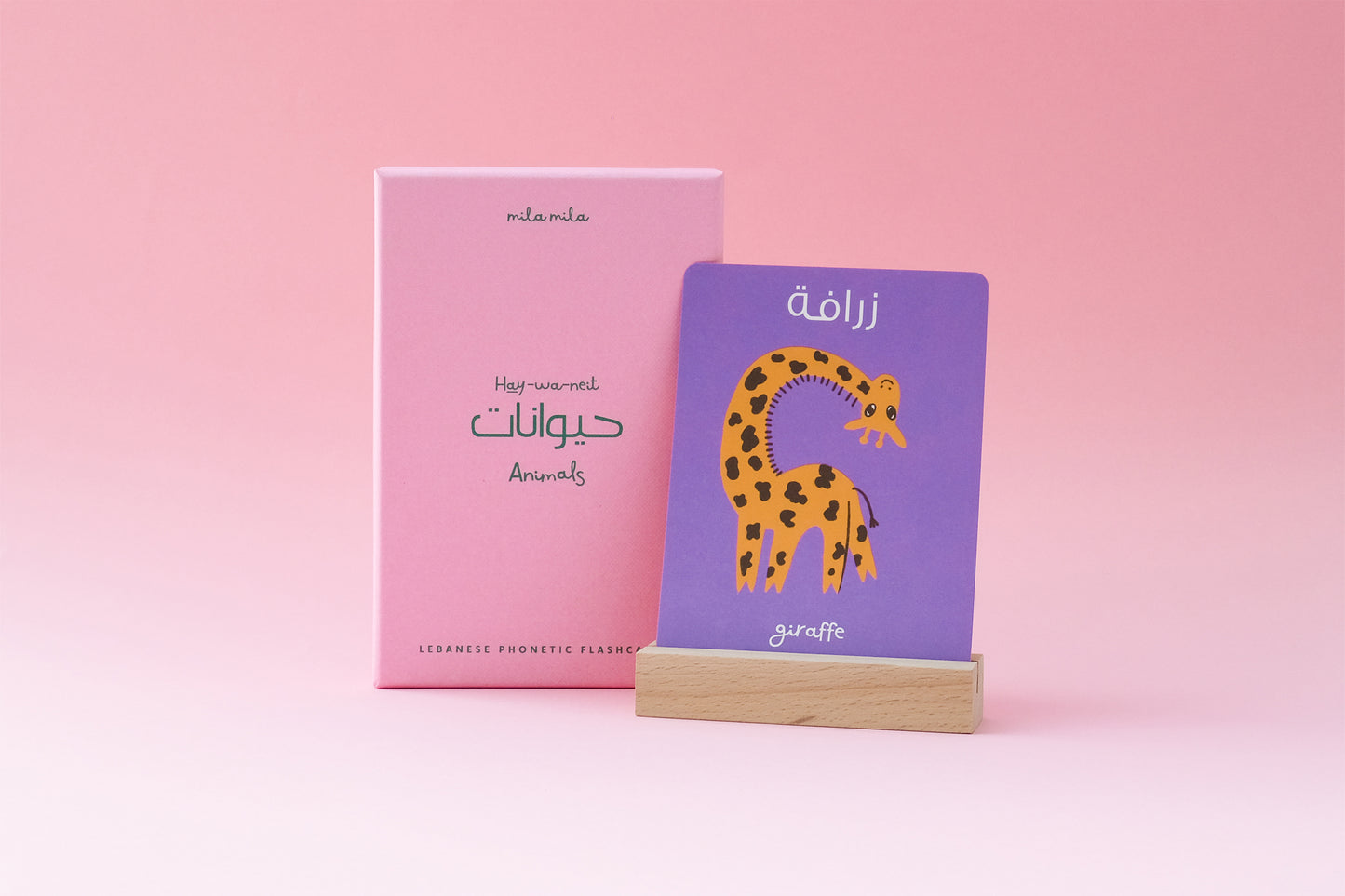 Animals Flashcards & Stand