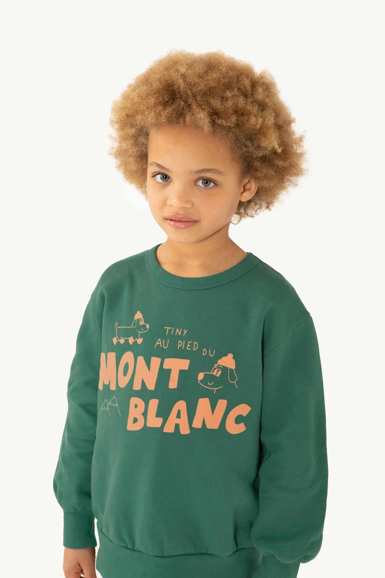 Mont Blanc Sweater