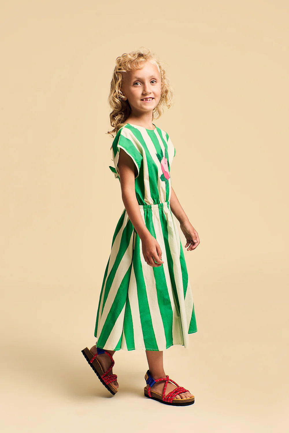 Flowers Stripes Dress