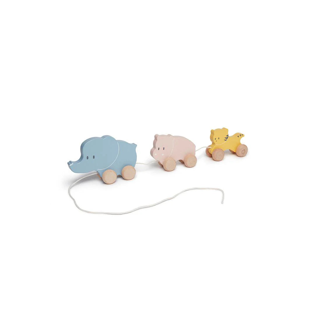 Wooden Pull-Along Toy - Animals