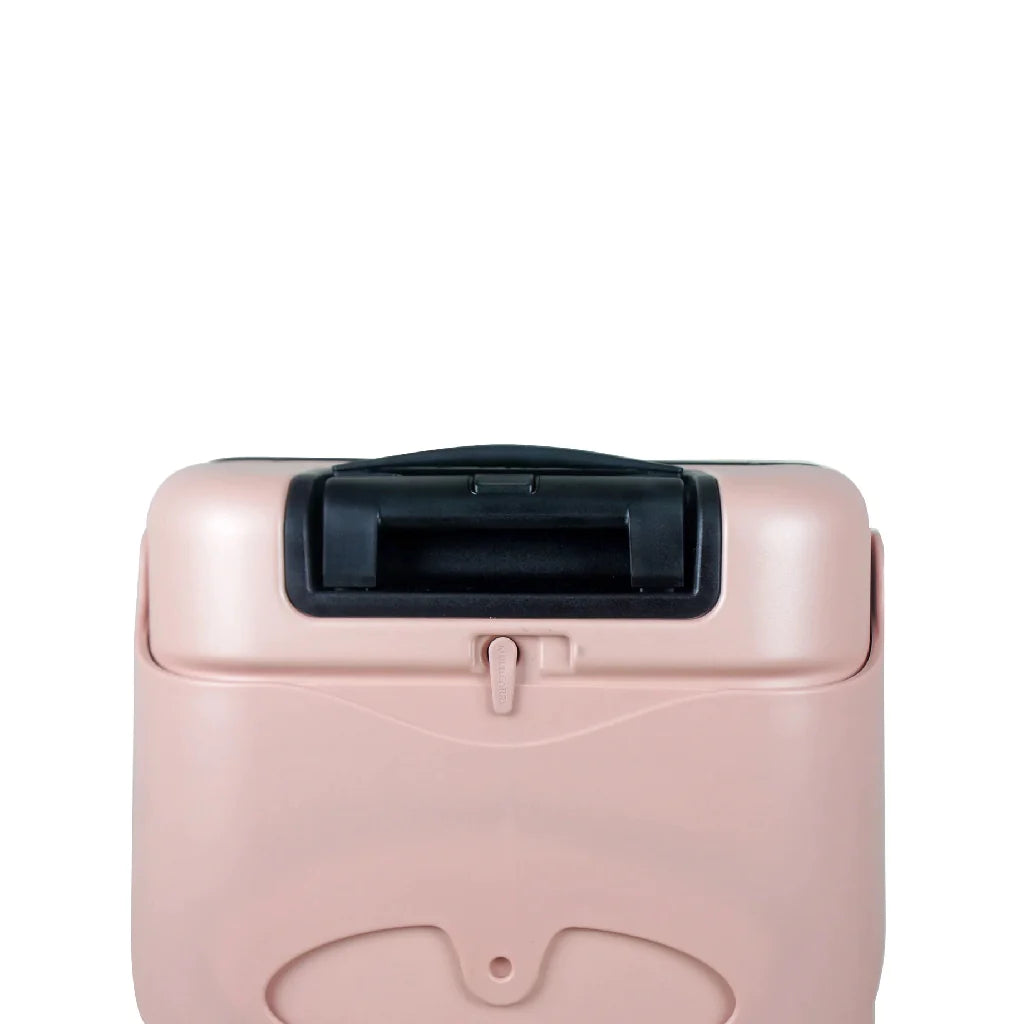 Carry On 18” - Dusty Pink