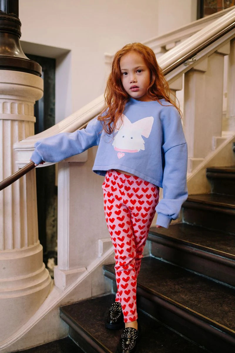 Kitty Cat Cropped Sweater