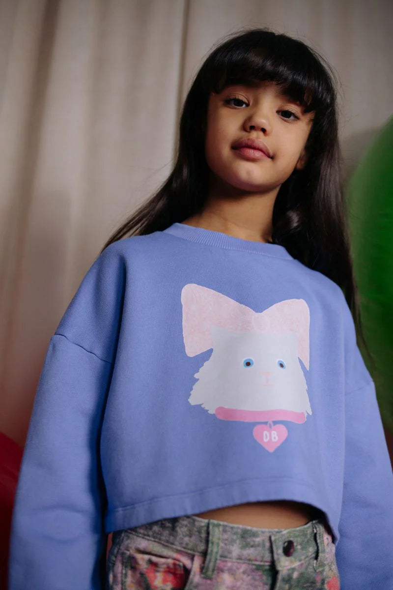 Kitty Cat Cropped Sweater