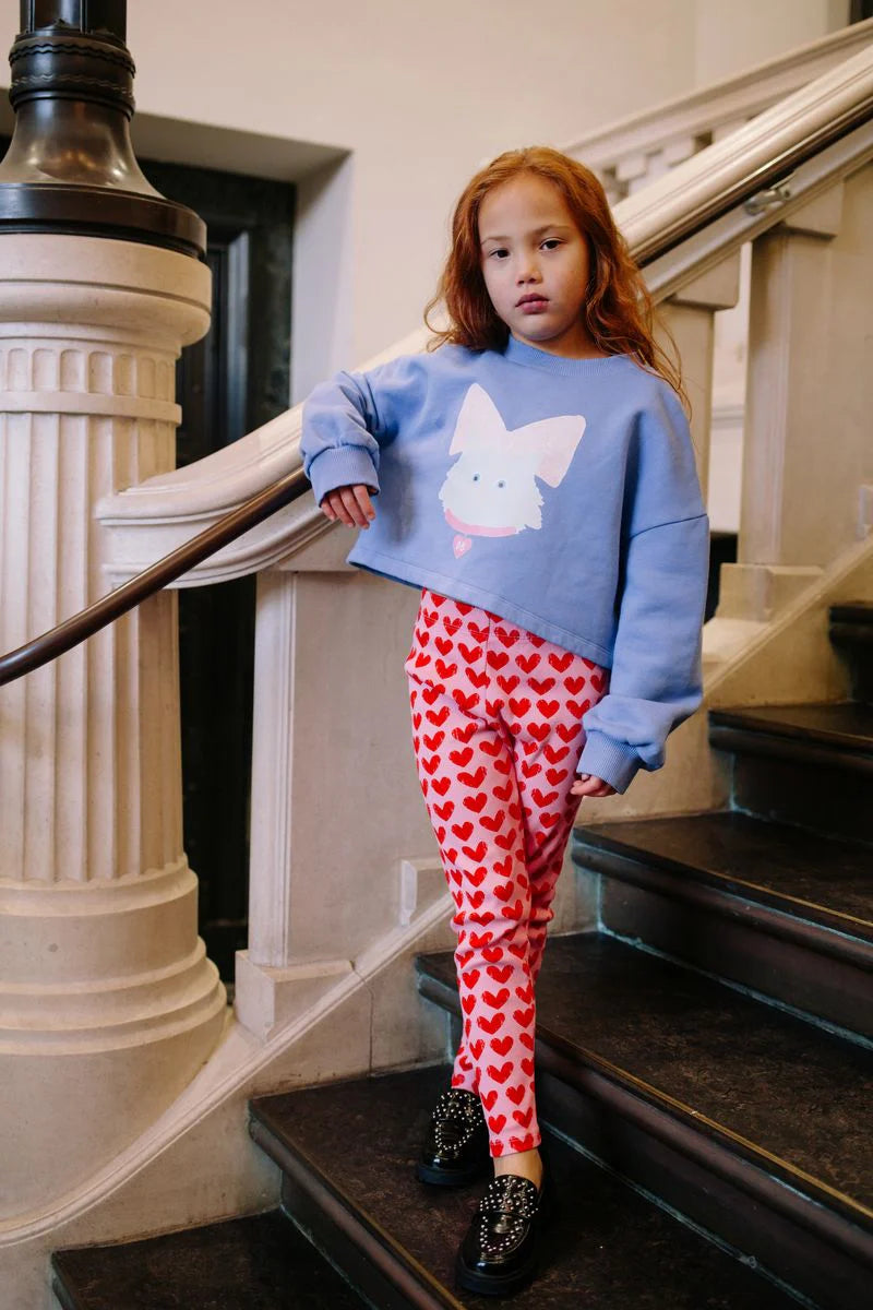 Kitty Cat Cropped Sweater