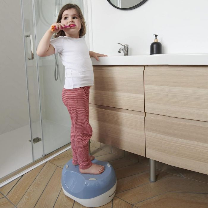3-in-1 Potty