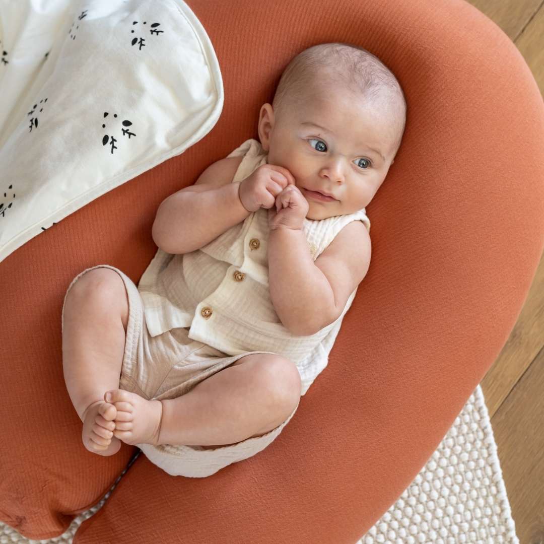 Buddy Pregnancy & Nursing Pillow - Tetra Jersey Terracotta