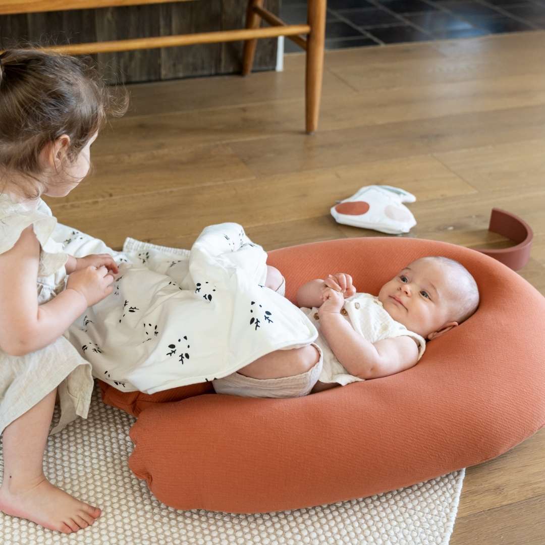 Buddy Pregnancy & Nursing Pillow - Tetra Jersey Terracotta