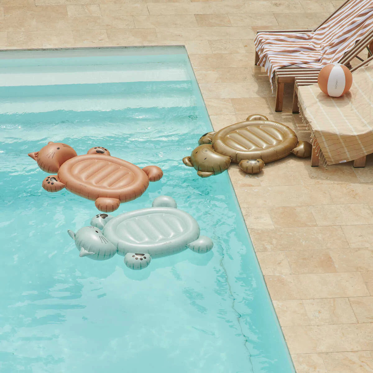 Cody Float - Cat Tuscany Rose