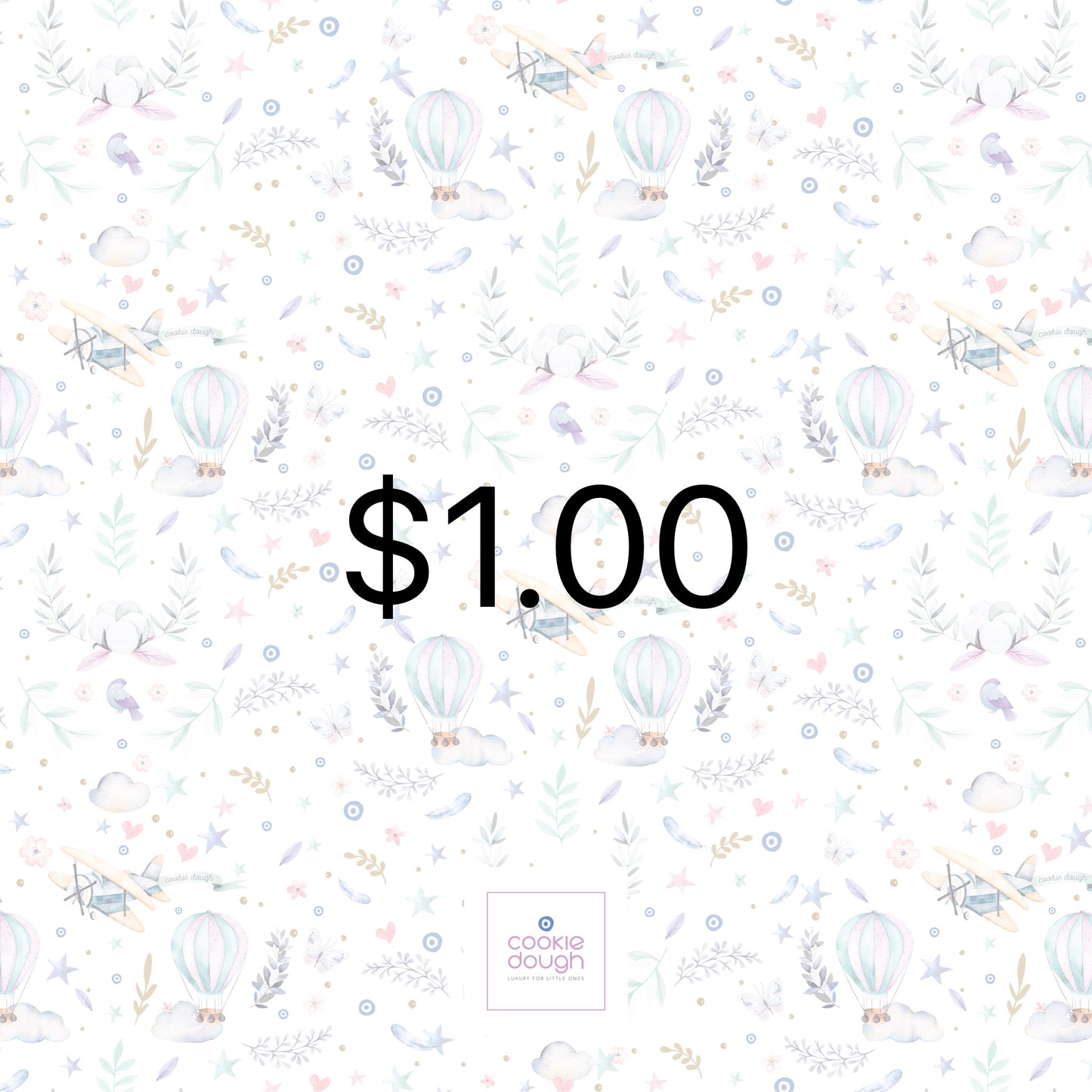 Account Payment - $1.00