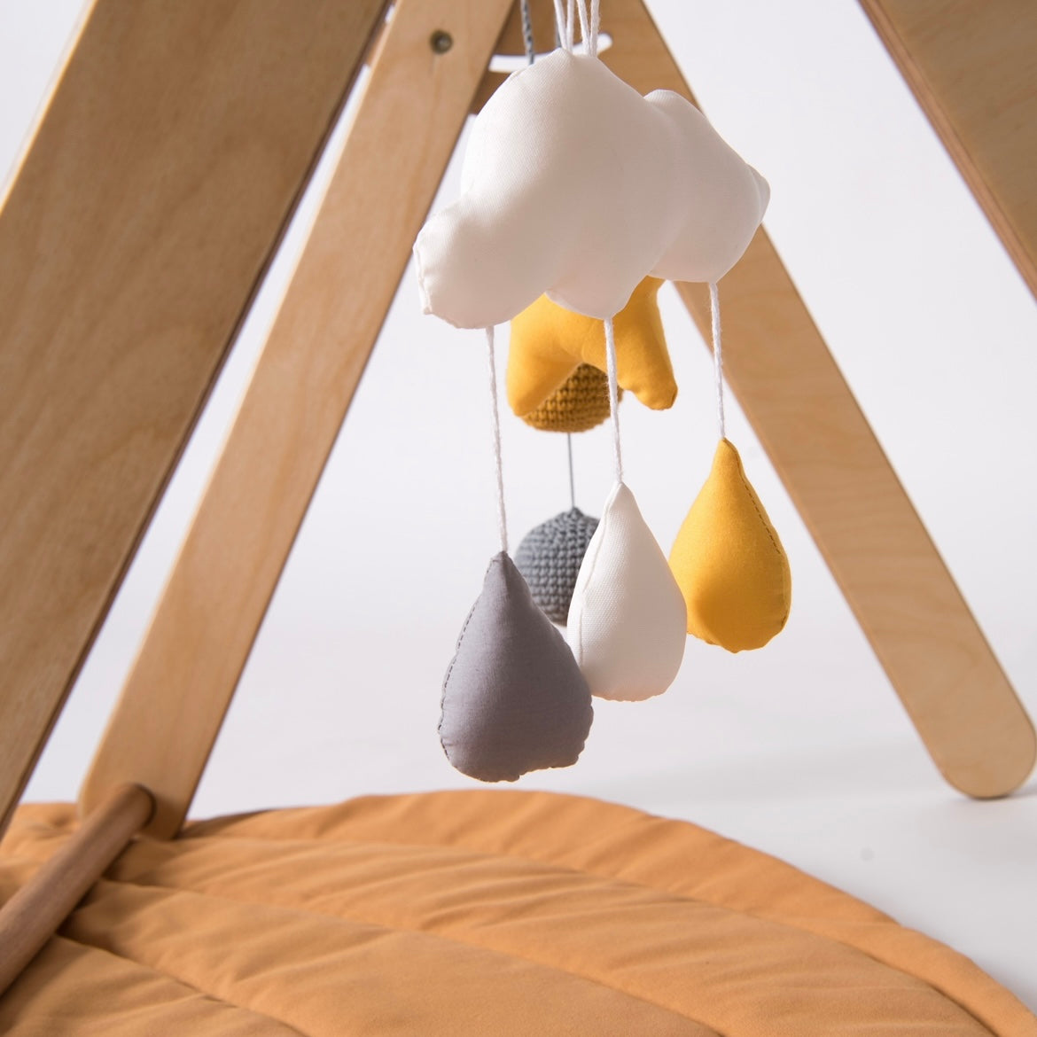 Montessori Baby Gym Gift Bundle
