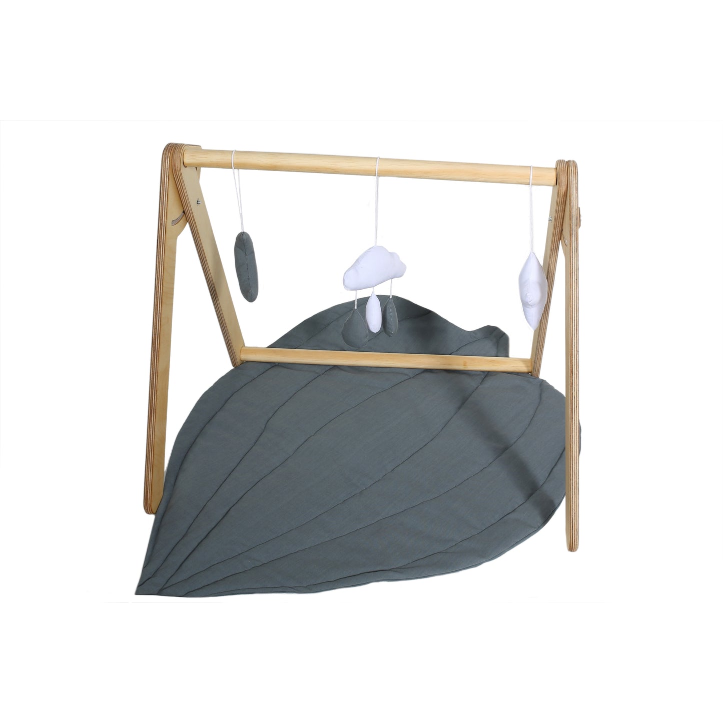 Montessori Baby Gym Gift Bundle