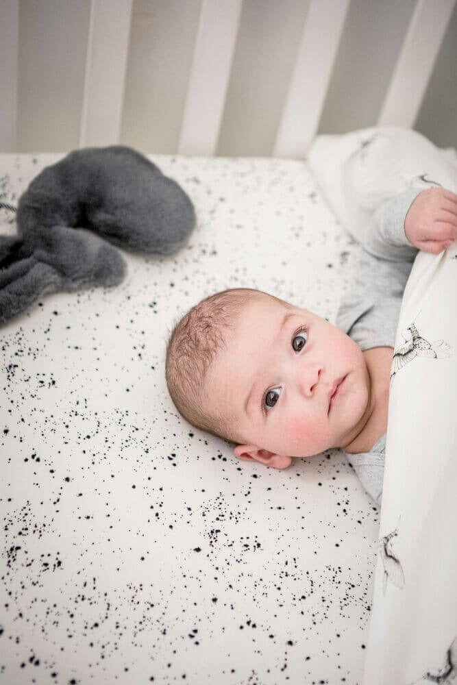 Mies & Co Snuggle Bunny