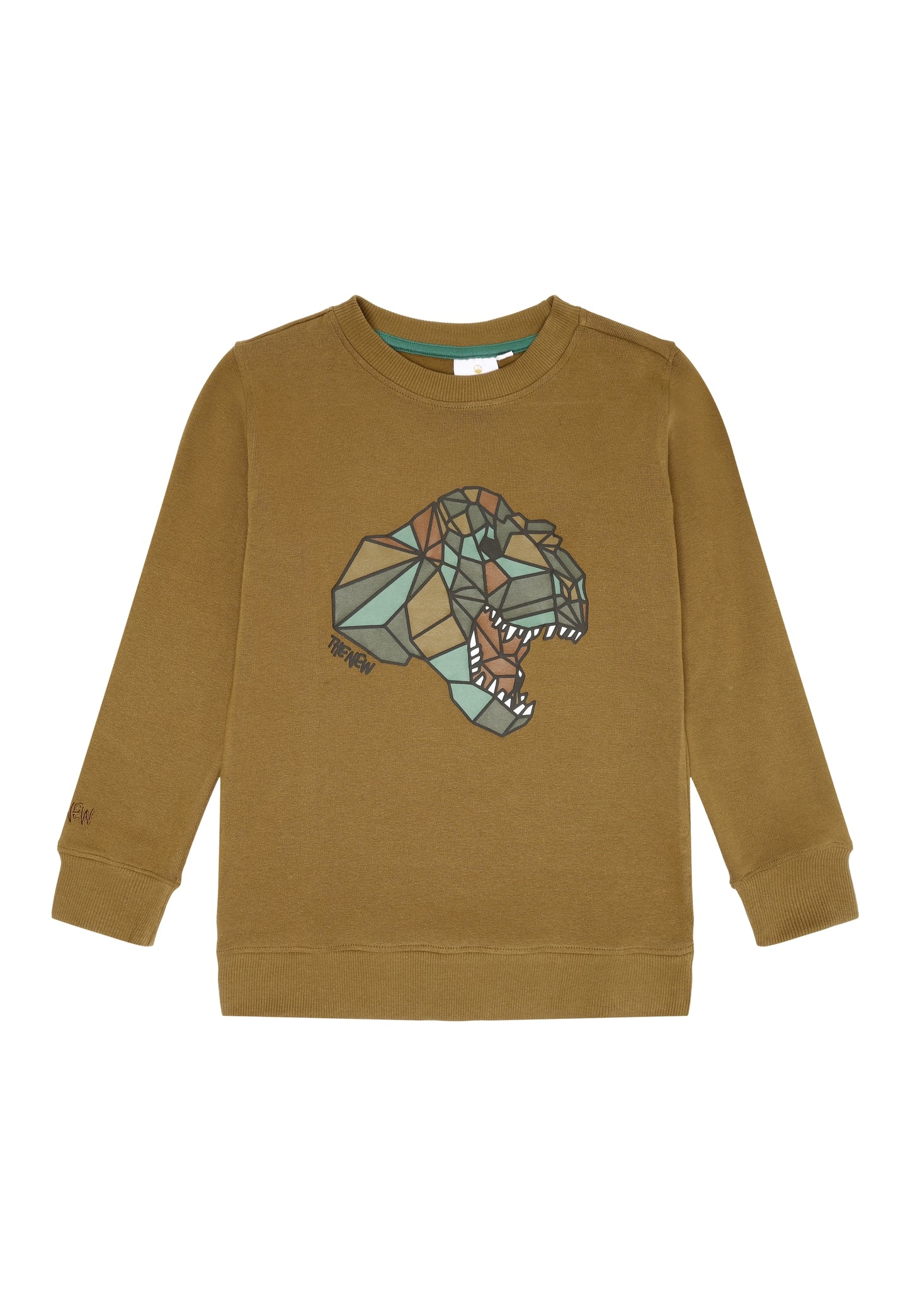 Dino Graphic Sweater - Brick