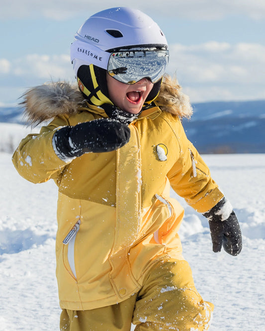 Ski Goggles - Silver