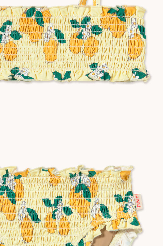 Oranges Smock Swim Set