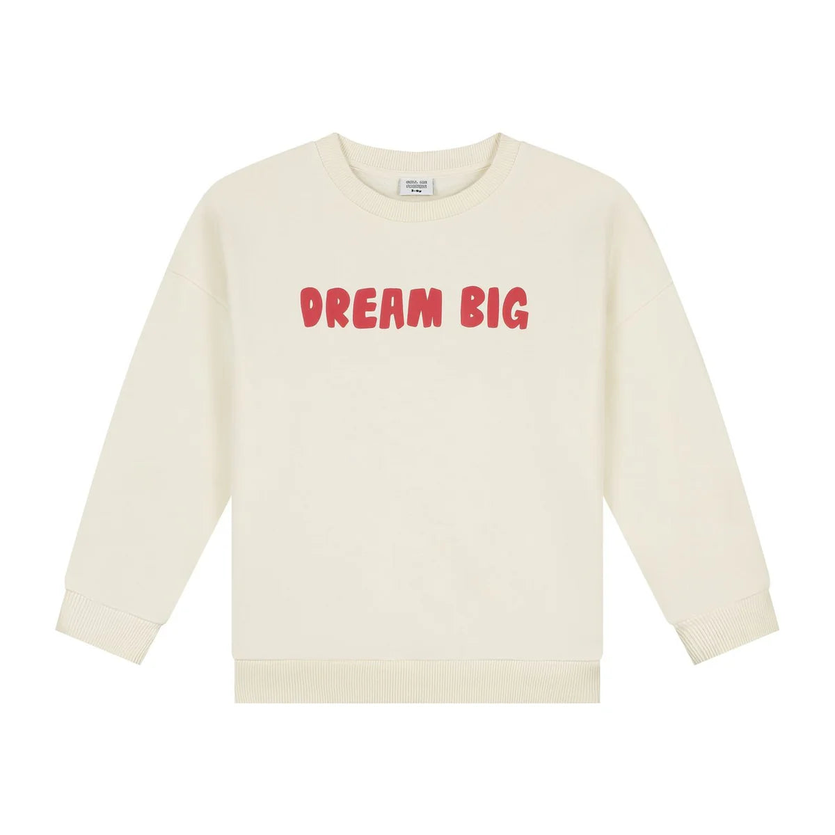 Dream Big Sweater