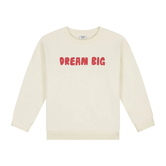 Dream Big Sweater