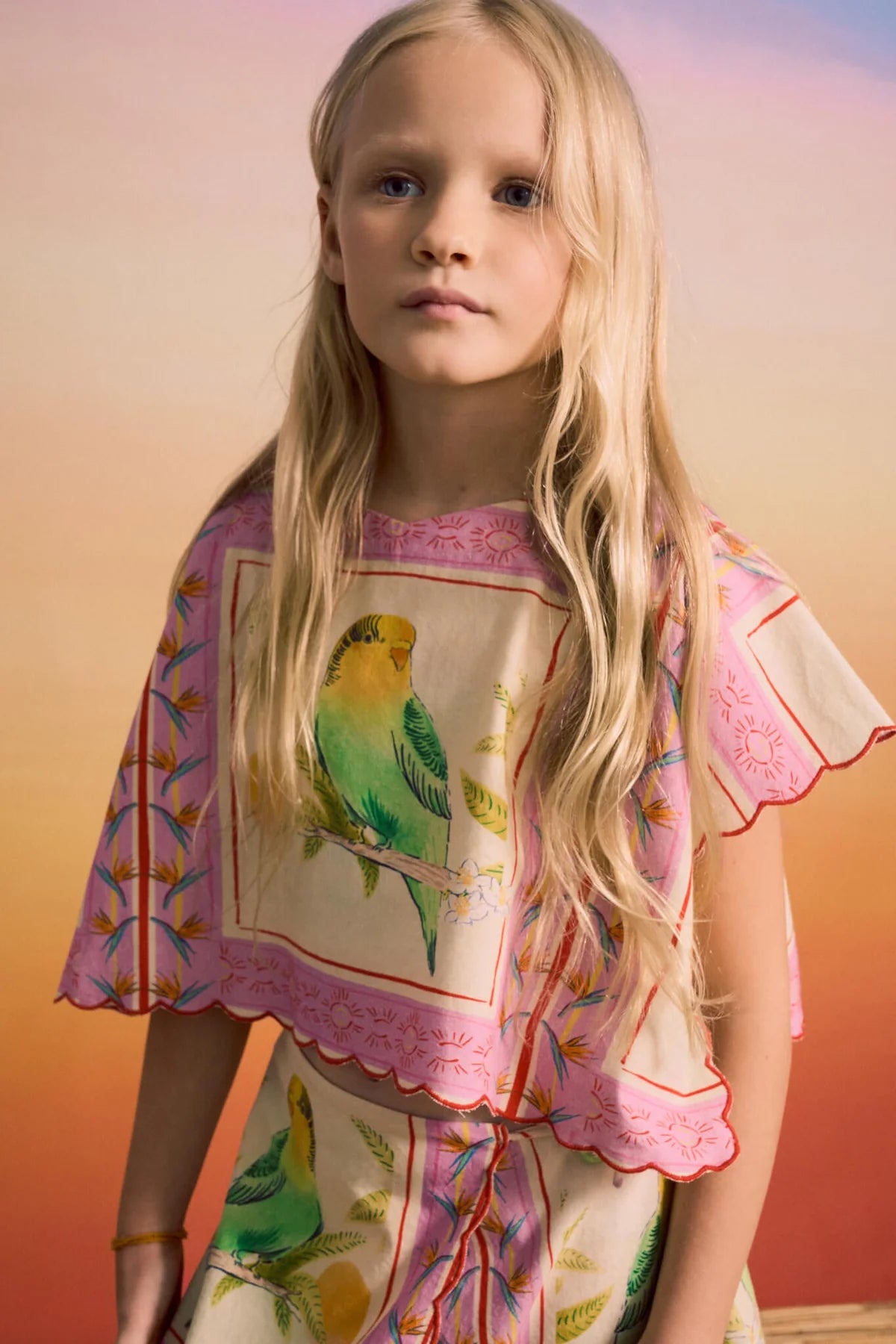 Birds Patchwork Top