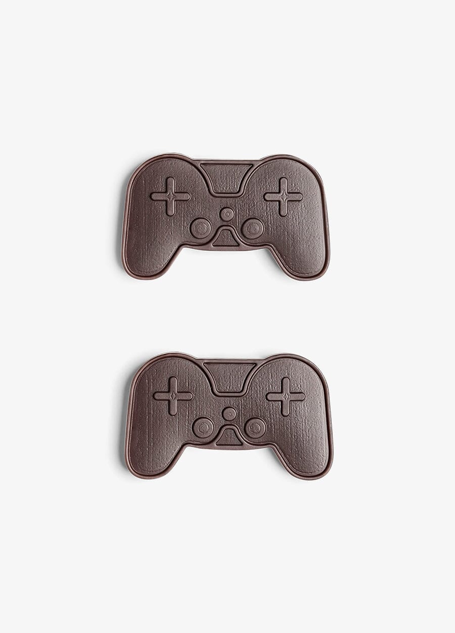 Lunchbox Large Ice Pack (Set of 2) - Controller