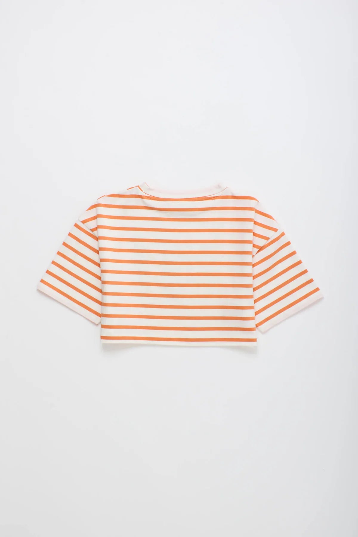 Birds Crop Top