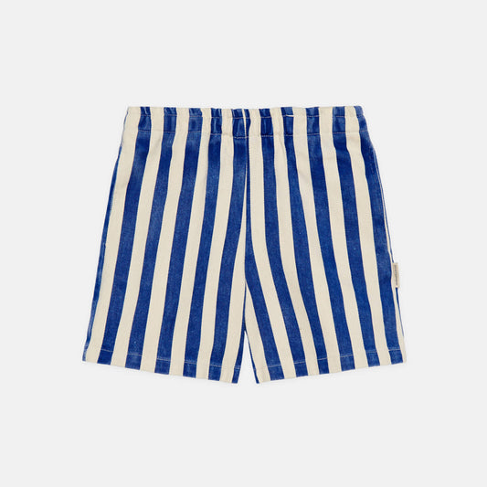 Blue Stripes Shorts