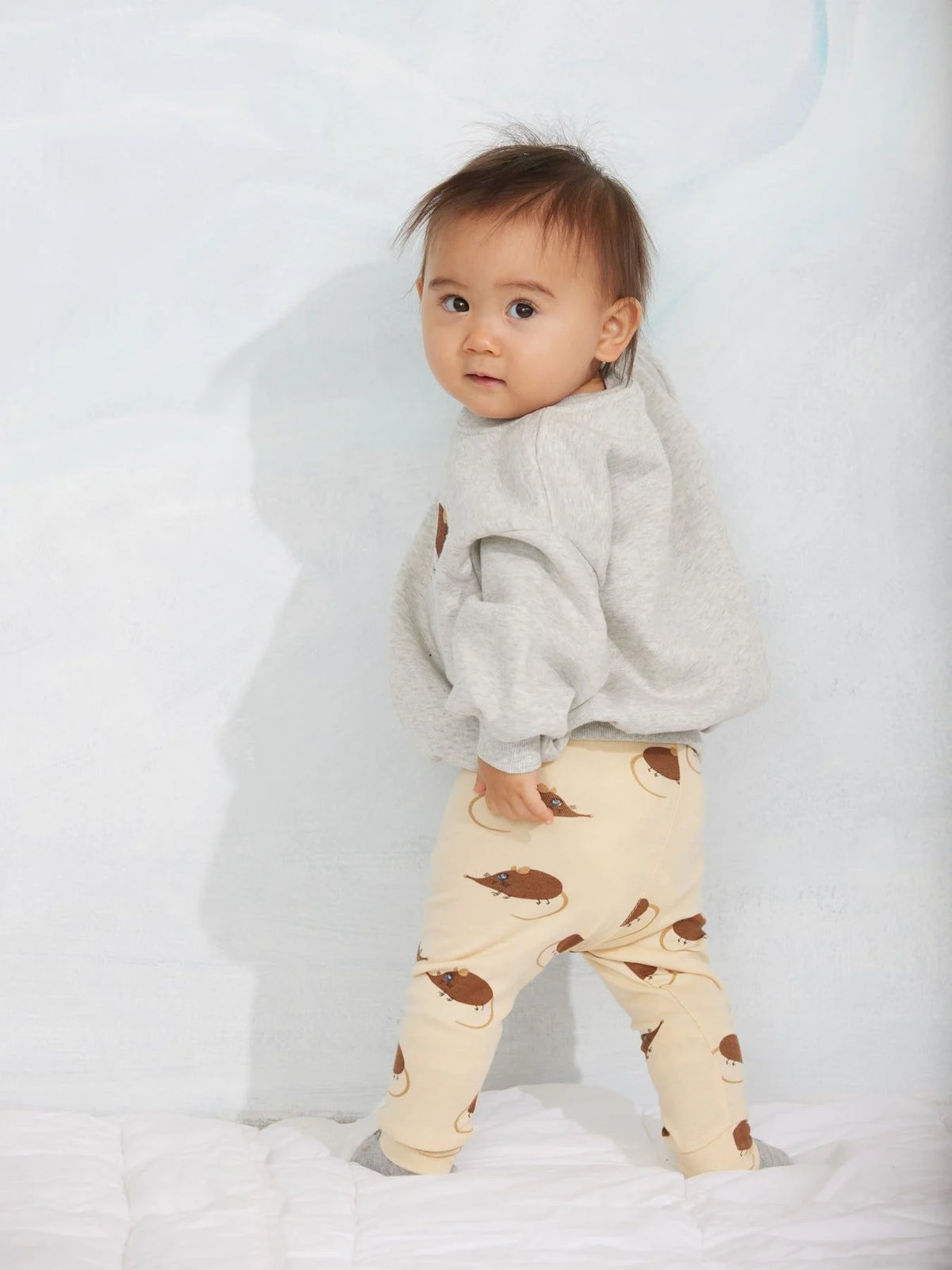Elephant Shrew Sweater