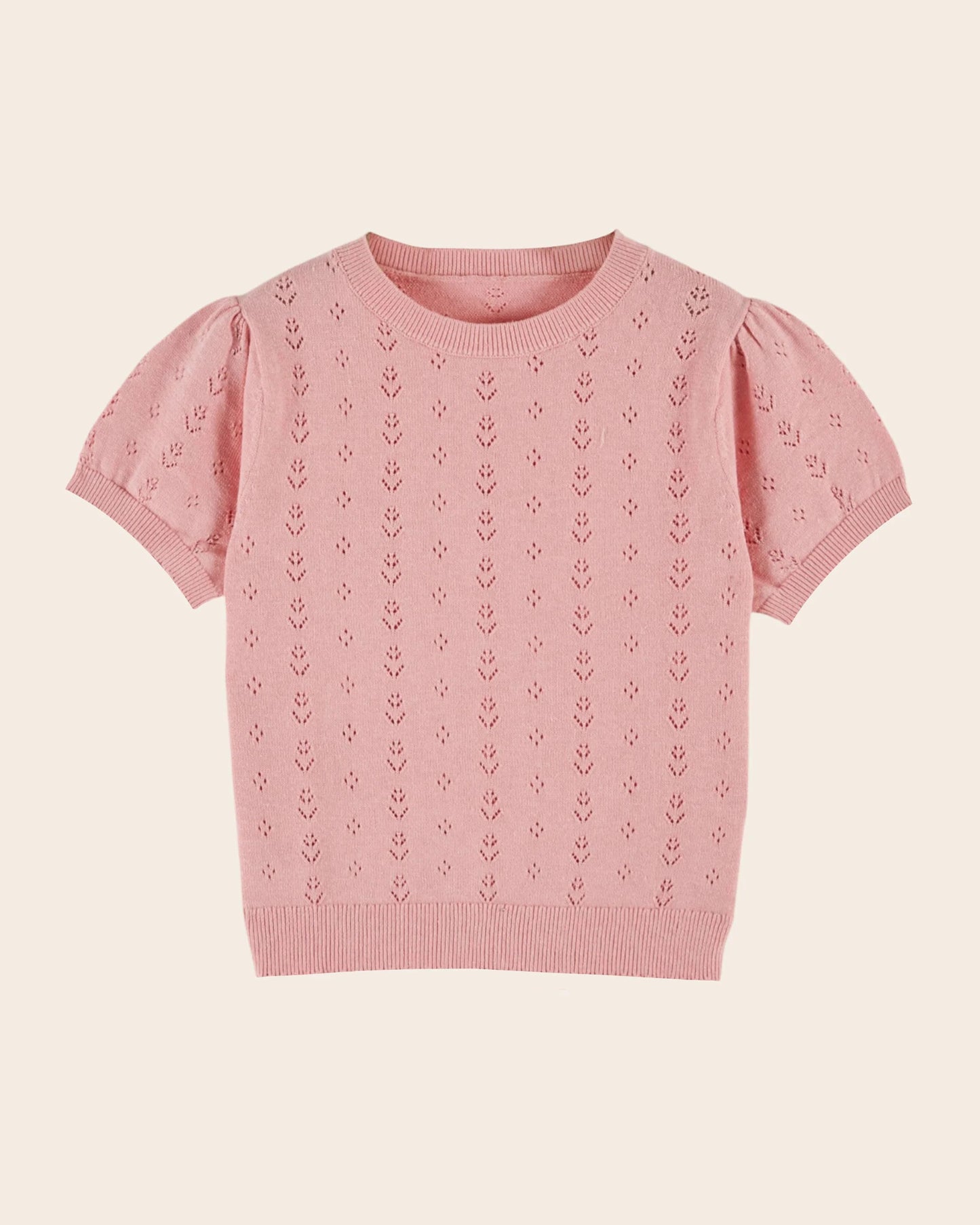 Macaron Tulip Set