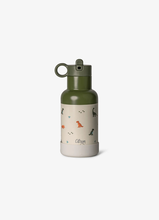 Water Bottle 350ml - Dino