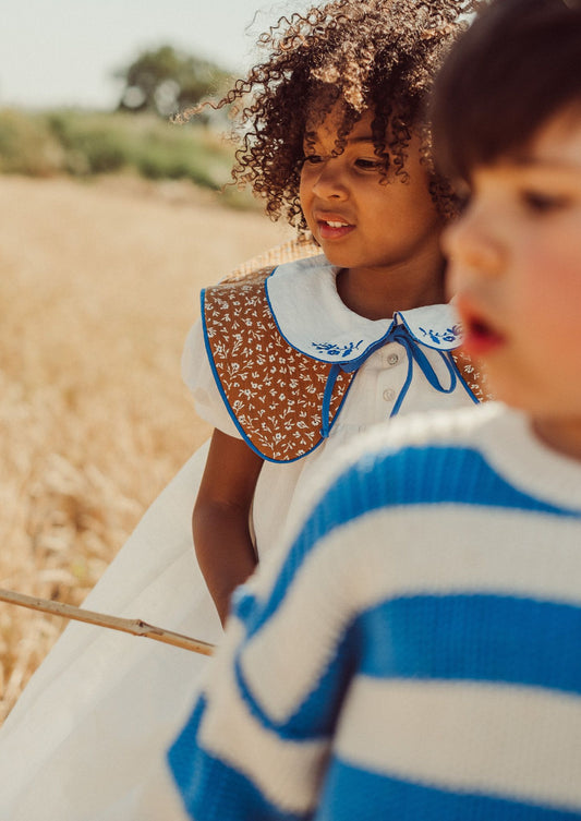 Agustina Blue Stripes Collar
