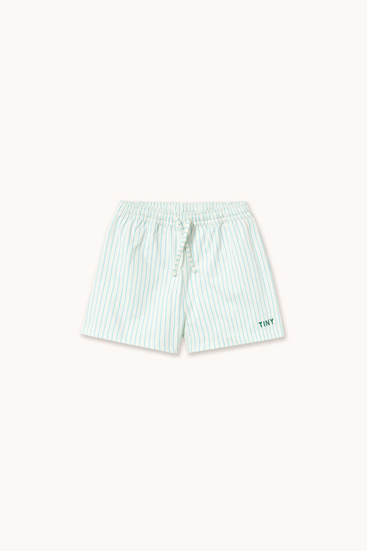 Cyan Stripes Swim Shorts