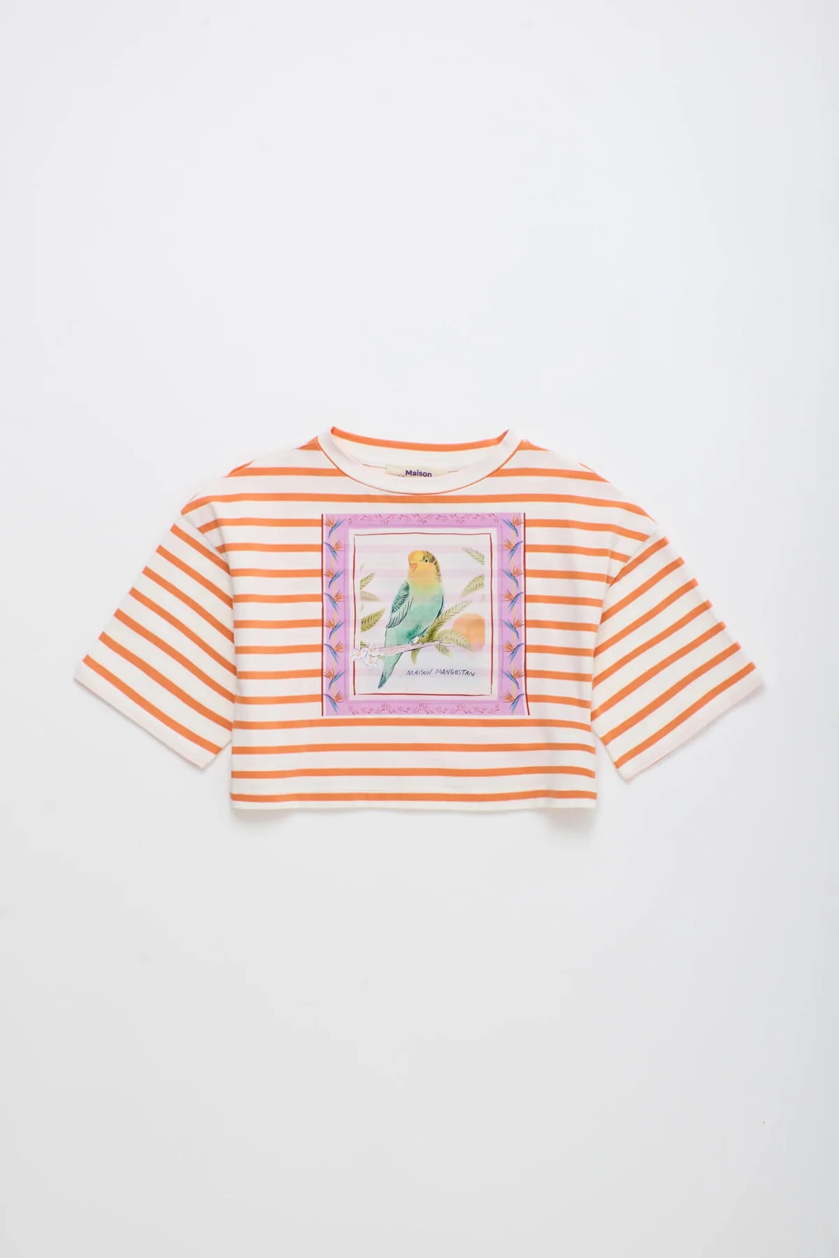 Birds Crop Top