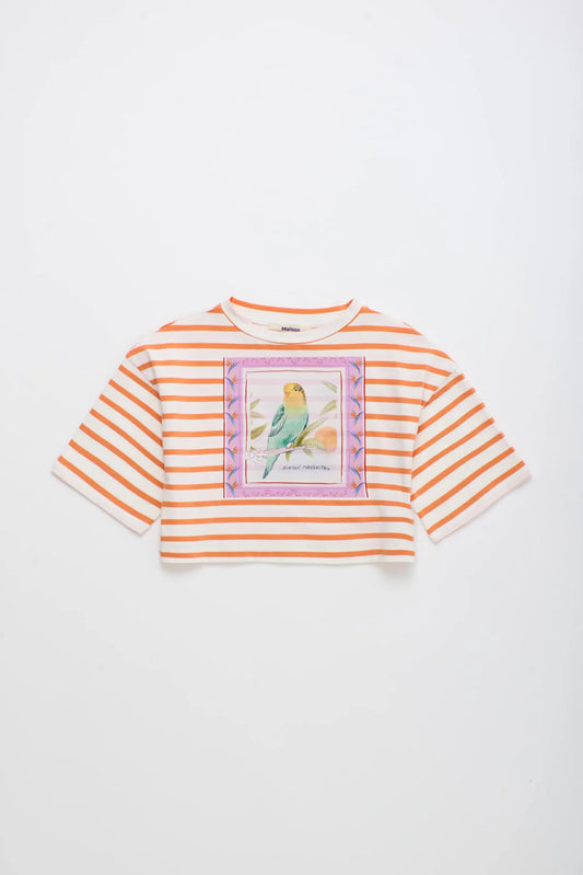 Birds Crop Top
