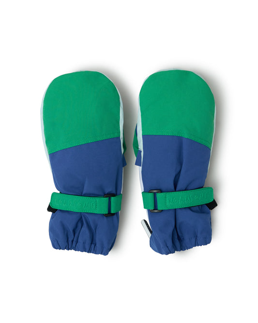Ski Gloves - Green/Blue