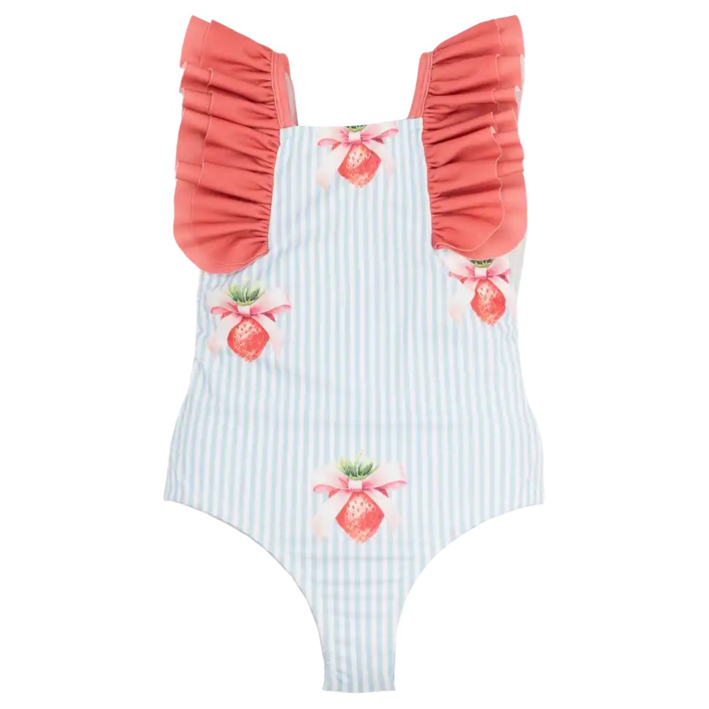 Aruba Swimsuit - Strawberries